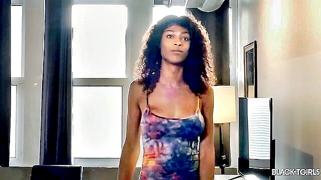 The Queen, Chris - black tgirls hd video Black TGirls