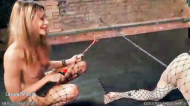 humiliation, queensnake, femdom - cattle prod humiliation porn