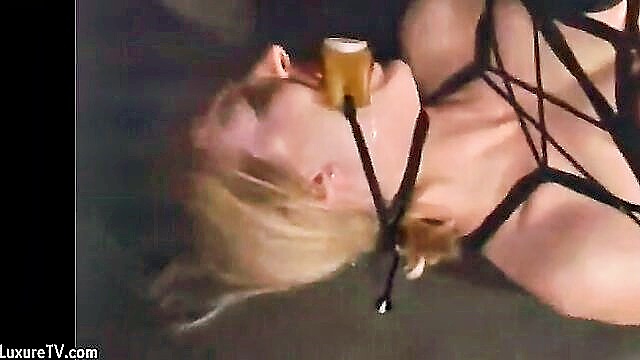 unknown, bondage, humiliation - extreme bdsm with sexy sluts