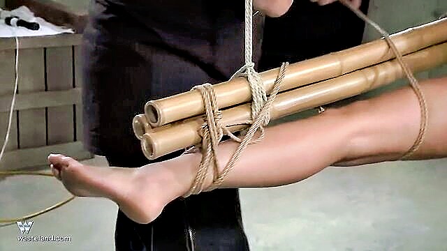 Nyssa Nevers - Nyssa Nevers BDSM punishment Wasteland