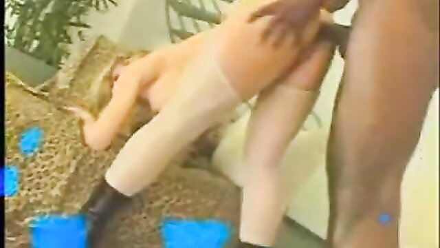 Big D - brazilian milf takes on a huge black cock in interracial anal