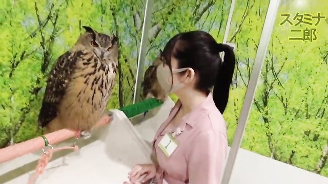 big tits japanese girls first time on camera : fc2