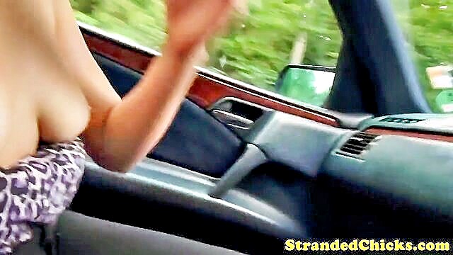 busty hitchhiker teen sucks dick and gets fucked in car : badpups