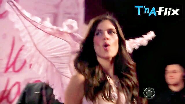 Lily - lily aldridges lingerie appearance in the 2014 victorias secret fashion show augustine51